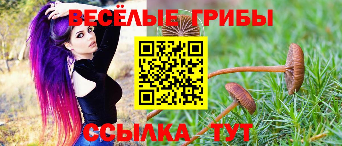 Галлюциногенные грибы мухоморы  Галлюциногенные грибы мухоморы  Балашиха  Вход с VPN 